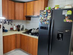 Hazel Park Condominium (D23), Condominium #486319381